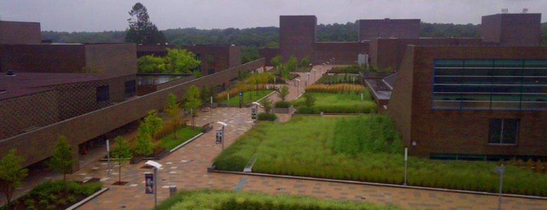 SUNY Purchase Renovation